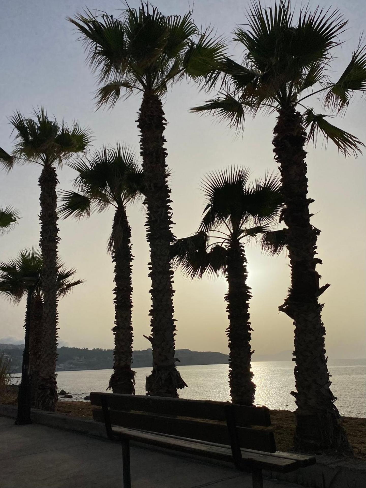 Eftihia Apartments By The Sea Rethymno  ภายนอก รูปภาพ